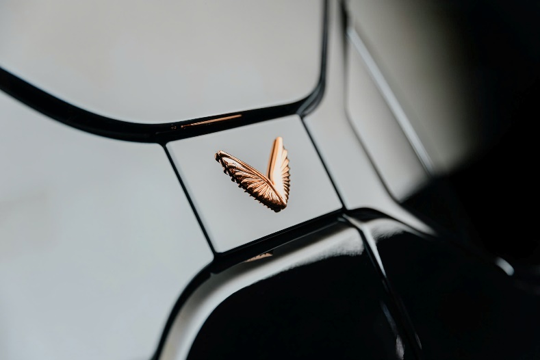 Lạc Hồng 900 LX - chiếc xe sang mang bản sắc văn hóa Việt Nam độc đáo - Ảnh 6. Tên gọi và nguồn gốc lịch sử của Lạc Hồng