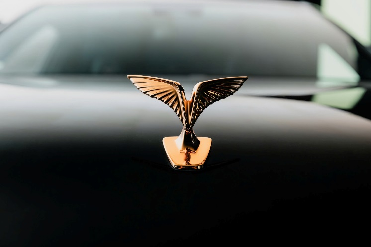 Lạc Hồng 900 LX - chiếc xe sang mang bản sắc văn hóa Việt Nam độc đáo - Ảnh 1. Ngoại hình xe Lạc Hồng 900 LX thể hiện nét văn hóa Việt