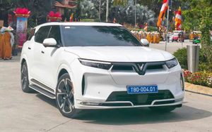 Hà Nội đã chuyển đổi hơn 20% số lượng xe buýt sang phương tiện xanh- Ảnh 2. Tỷ lệ xe buýt sử dụng nhiên liệu xanh tại Hà Nội